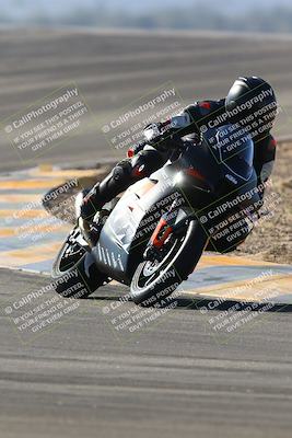 media/Jan-14-2024-SoCal Trackdays (Sun) [[2e55ec21a6]]/Turns 9 and 8 (10am)/